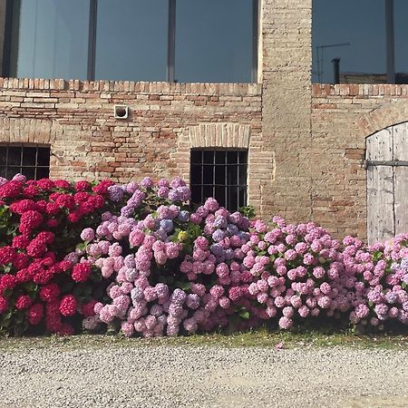 B&B Il Conte Giacomo Viarolo Eksteriør bilde